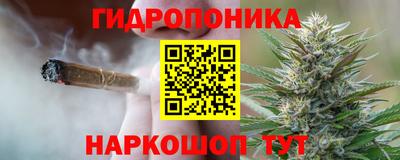 спайс Кандалакша